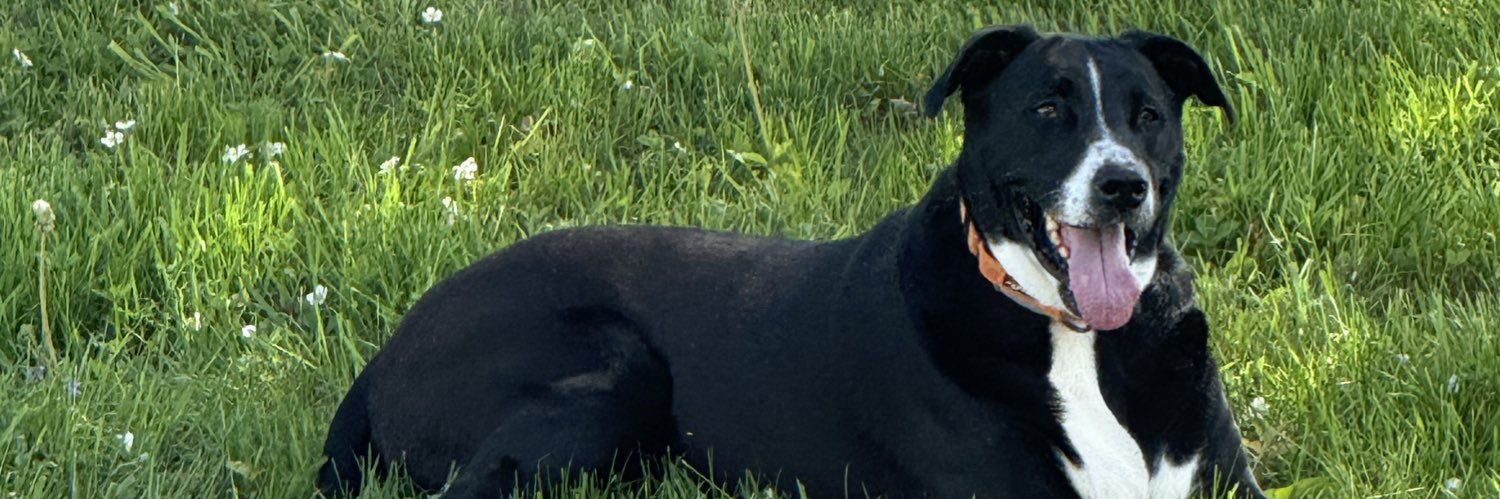 Andrew Patten banner