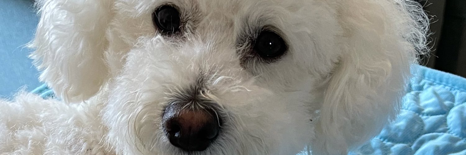 prissy1081's profile banner image