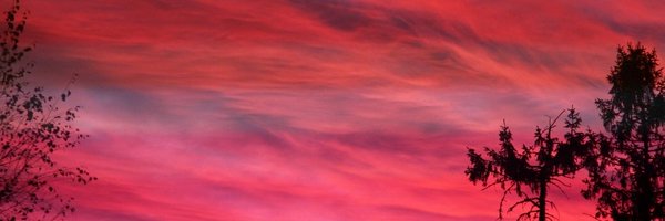 appletomo_ Profile Banner