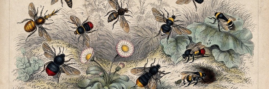 The Collection Ecologies Research Collective banner