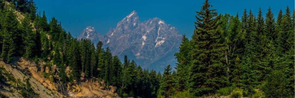 tonya_damron's profile banner image