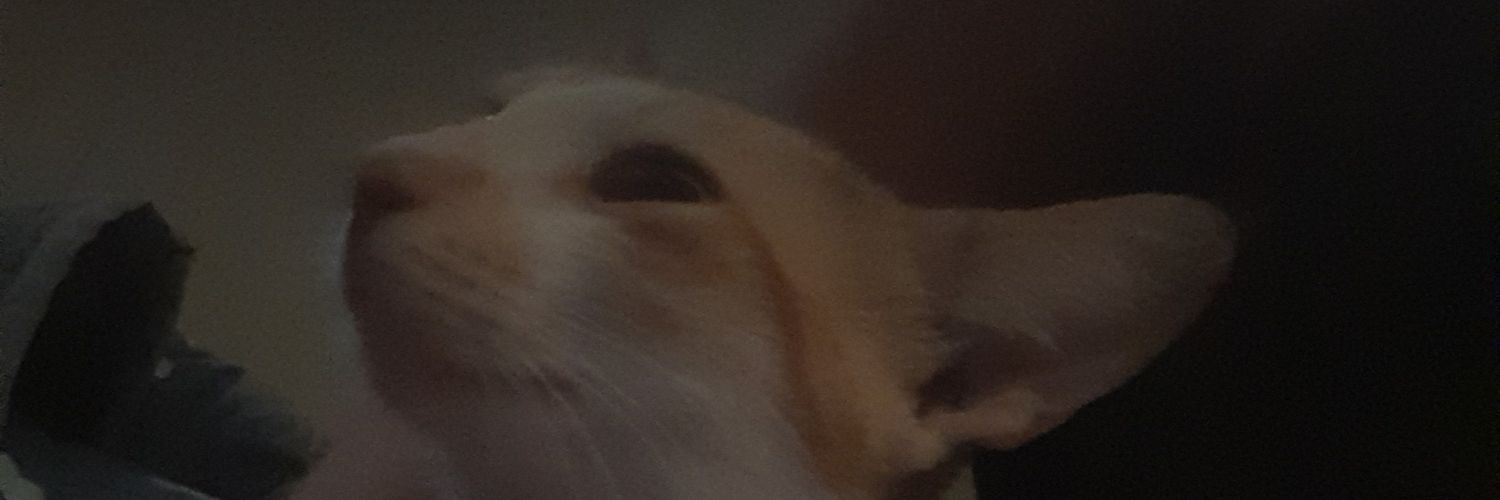 ketepotpot's profile banner image
