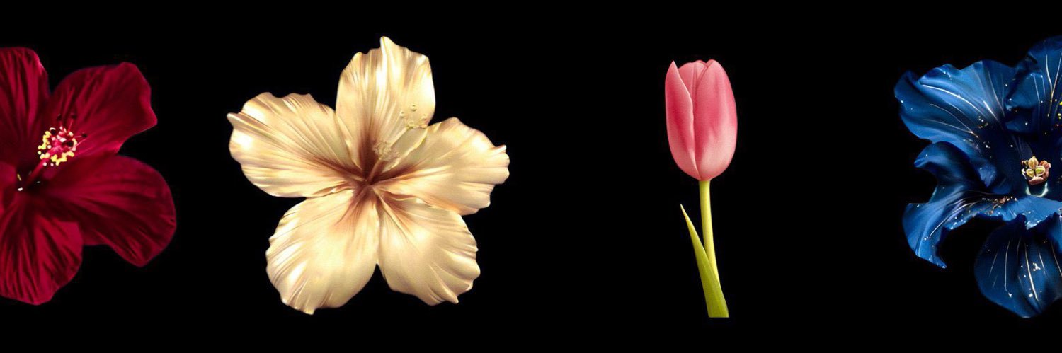 nna ʚɞ˚ banner