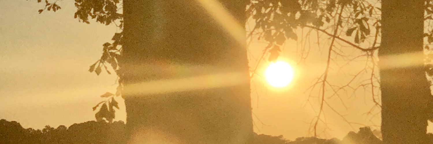 Trinity_Dobbs's profile banner image