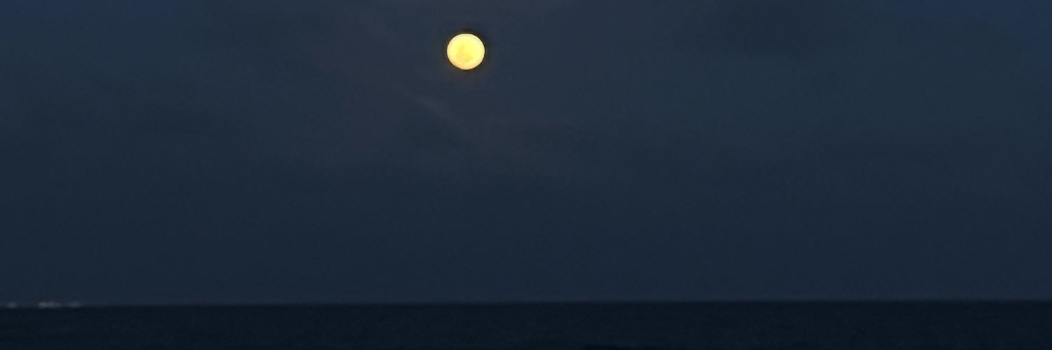 ycranmng's profile banner image