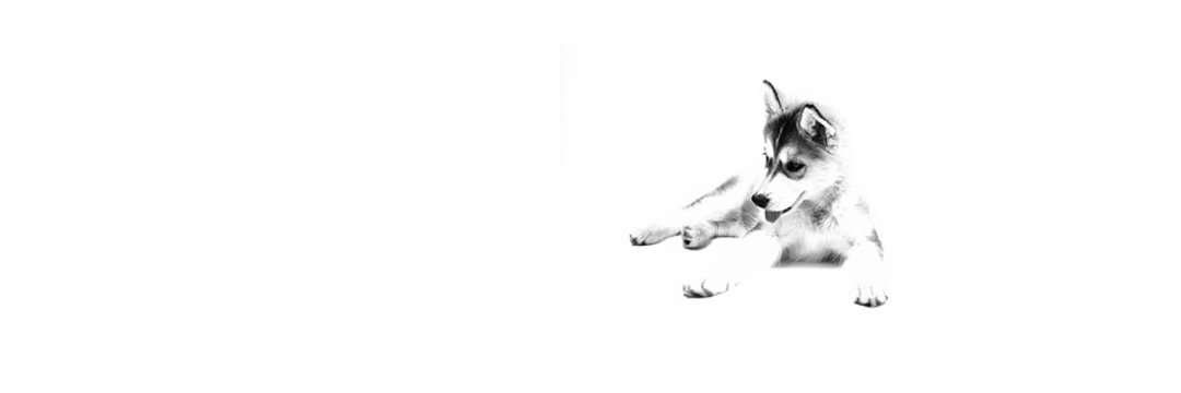 efeydream's profile banner image