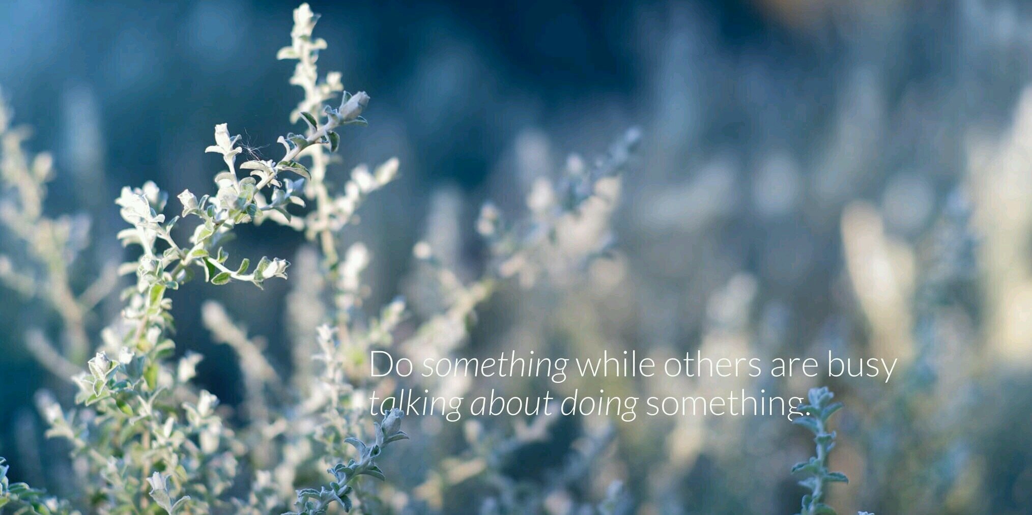 davislbrown's profile banner image