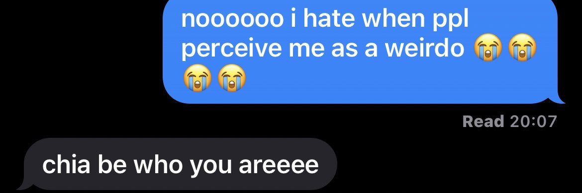 norfwest princess banner