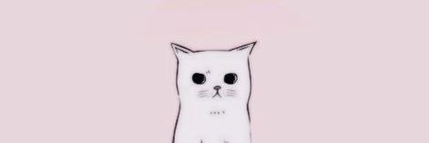 ava banner