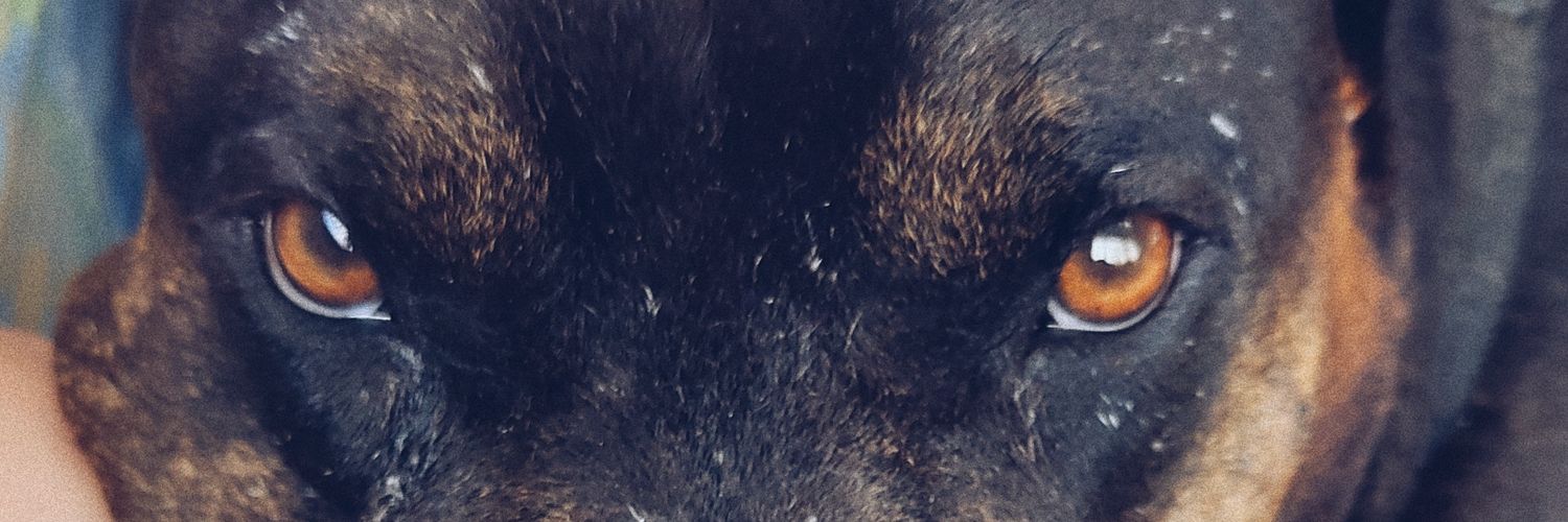 Wtsbetsa's profile banner image