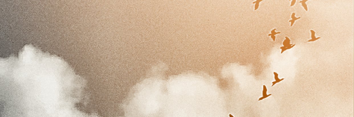 R S G banner