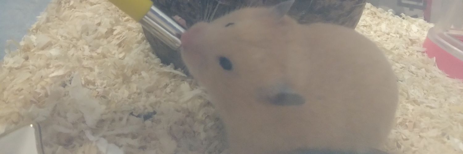 mannchii's profile banner image