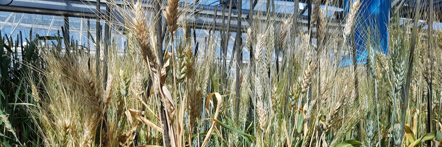 Dr Erica Hawkins 🌱🔬🏳️‍🌈 banner