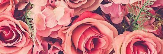 sheisddlovato's profile banner image