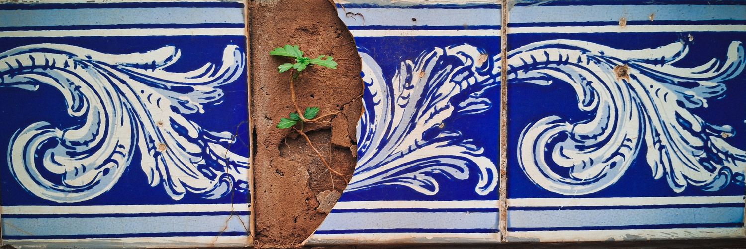 Sem Título #17 banner