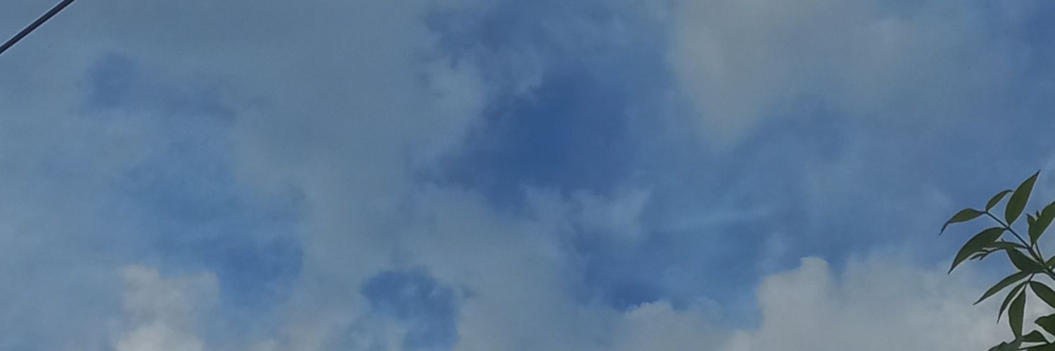 MiliPuchi2's profile banner image