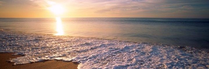 dcastroj's profile banner image