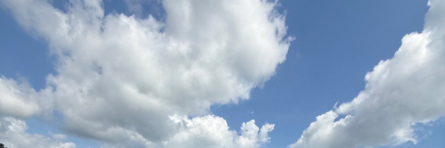 501plutobbc's profile banner image