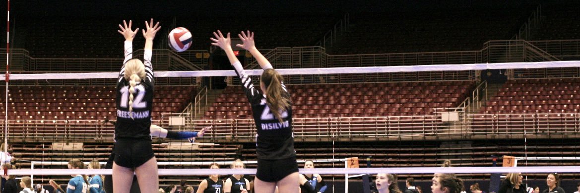 Leah Freesemann banner