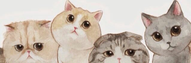 CEBN5's profile banner image
