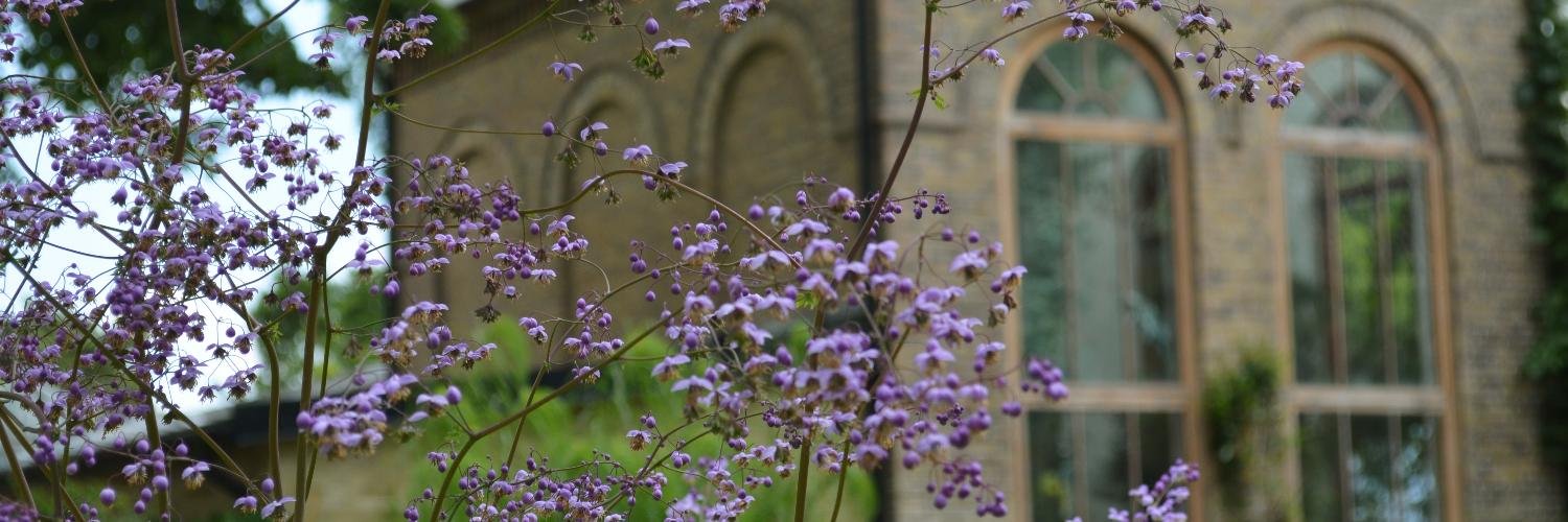 Louise Larsson banner