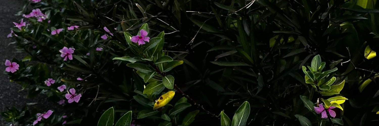 yo3vm's profile banner image