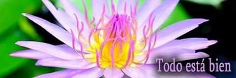 Nancyta2995's profile banner image