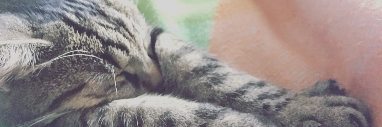BeautyJems's profile banner image