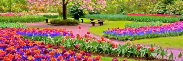 sa117h Profile Banner