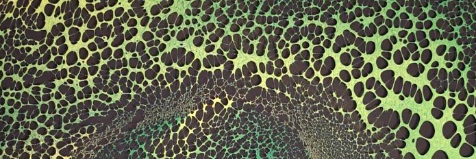 Lockyer92's profile banner image