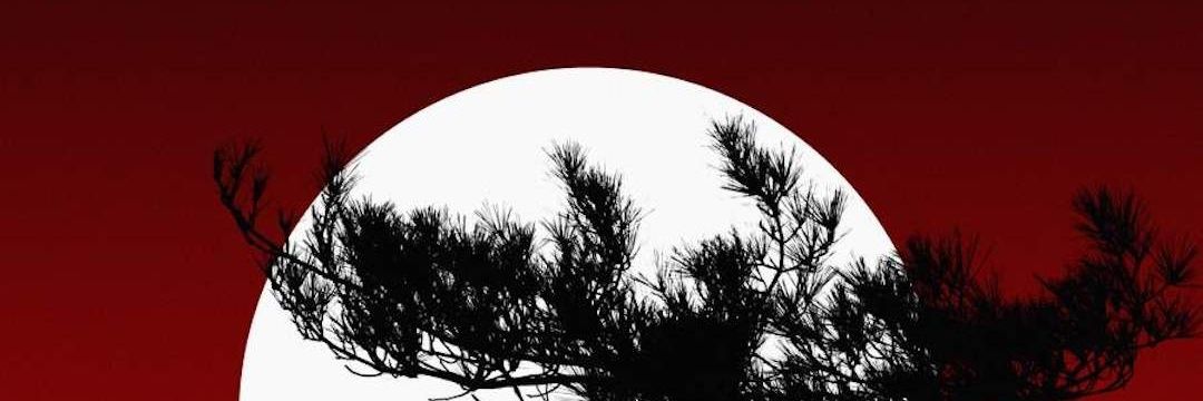 Axel F Paredes banner