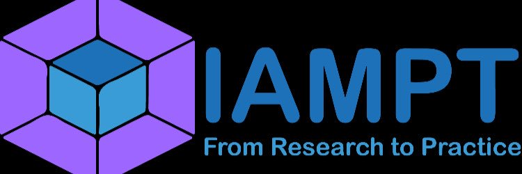 Nicolas Bellot banner