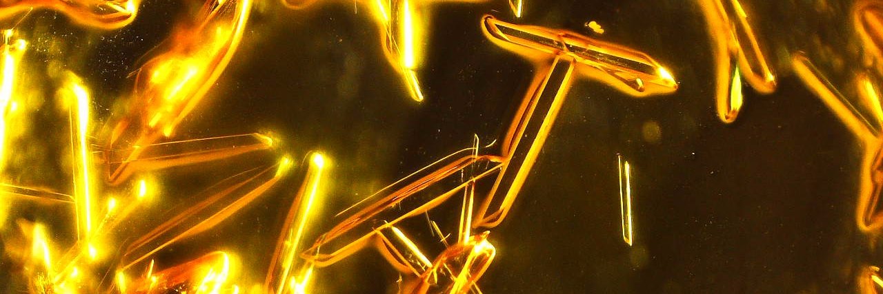 Anna-Lena Thömmes banner