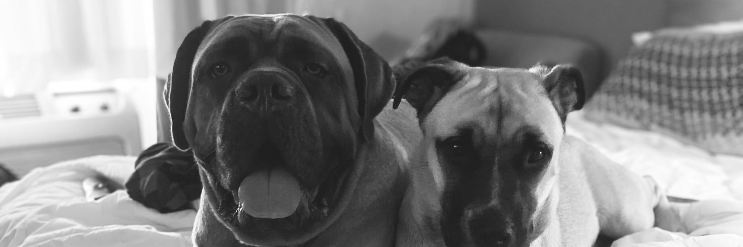 MarloweHailey's profile banner image