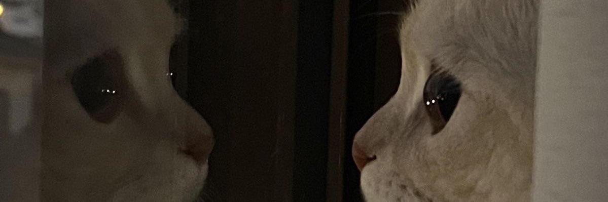 チャミスル banner