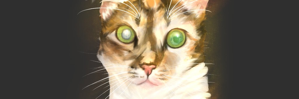 redlappa's profile banner image