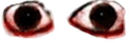 Toast!! banner