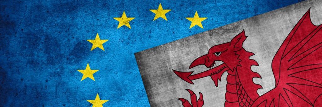FFion Larsen banner