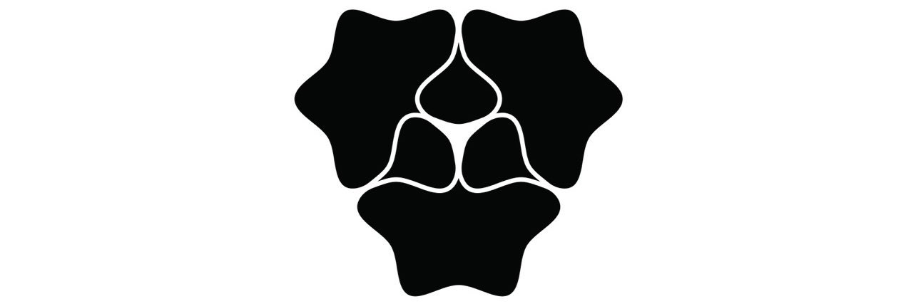 William E. Steele banner