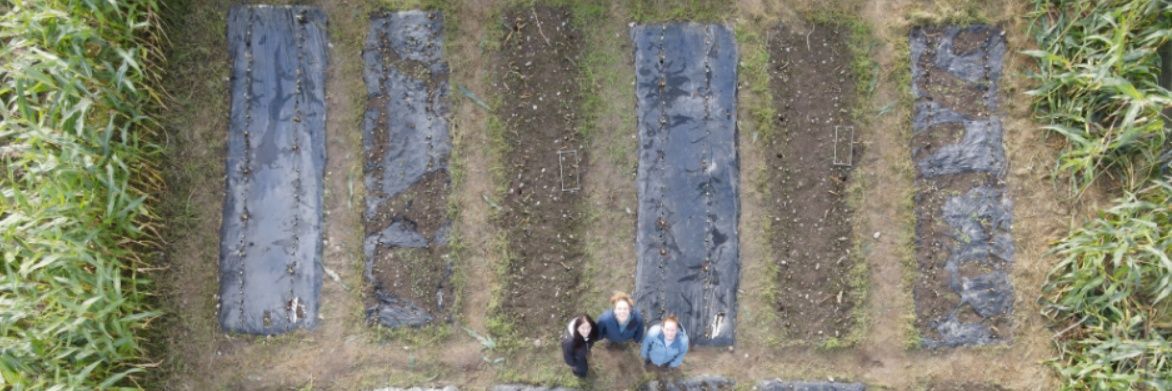 Plastic Legacy in Soil banner