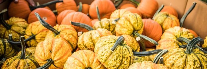 GallmeyerFarms's profile banner image