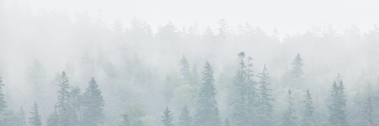 Michaeljsikora's profile banner image