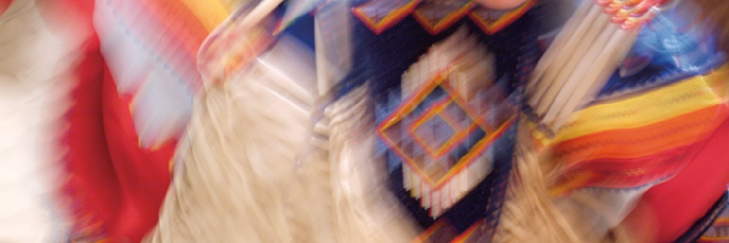 AISillinois's profile banner image