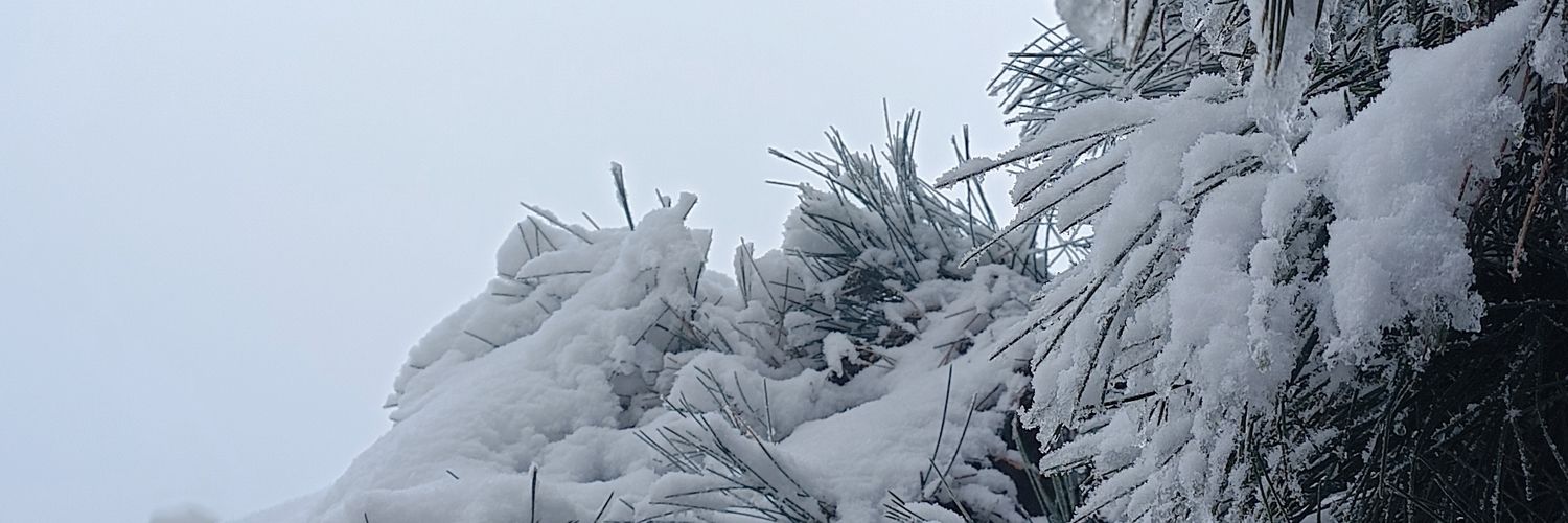 wrinter_'s profile banner image