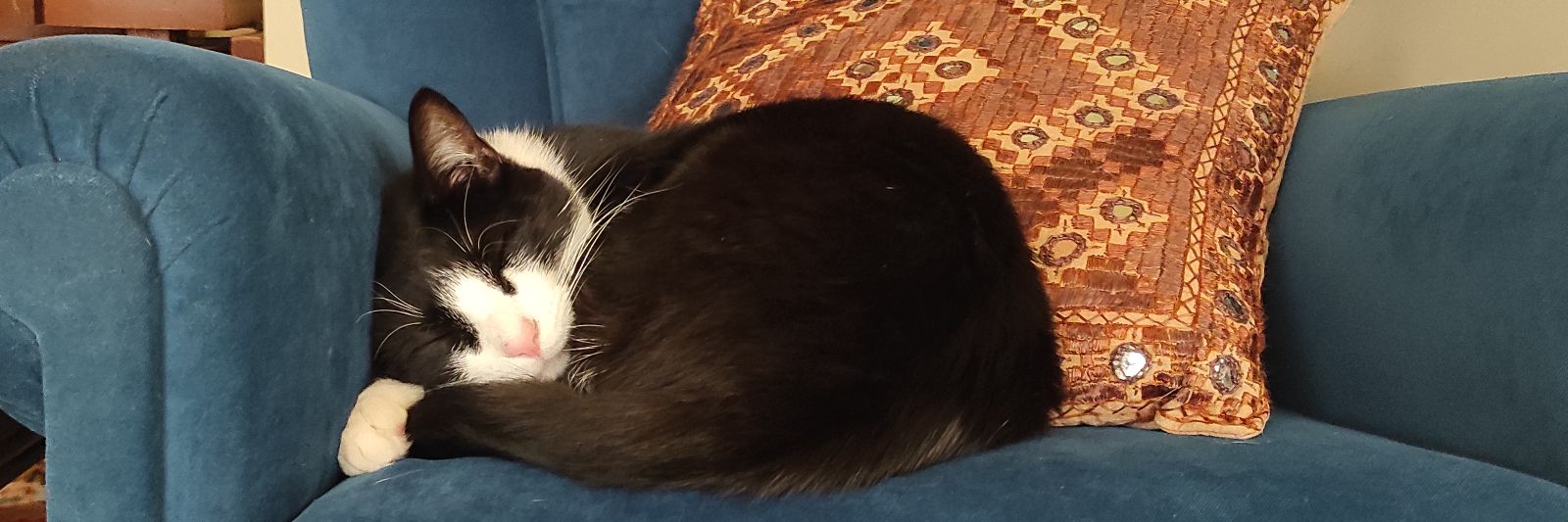 María 🍞 banner