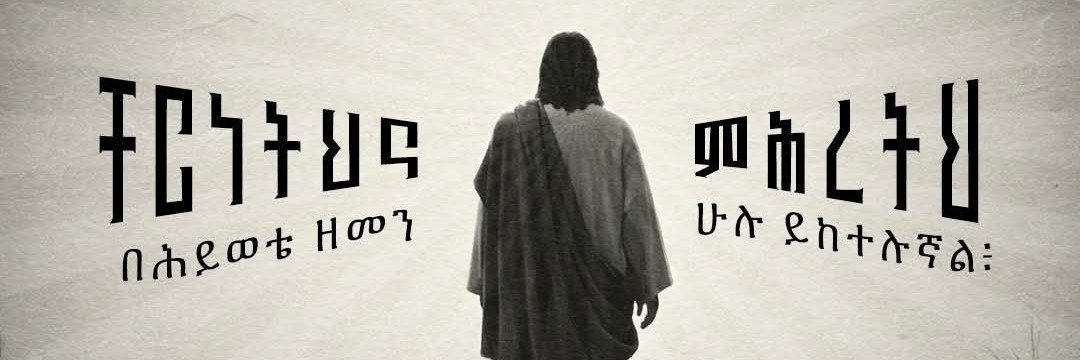 beth_lemma's profile banner image