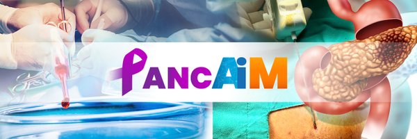Pancaim_H2020 Profile Banner