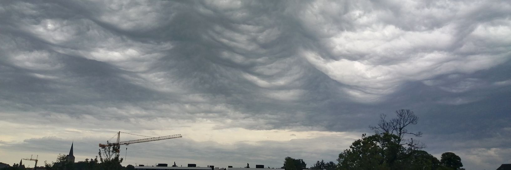 David Bosmans 🇺🇦 banner