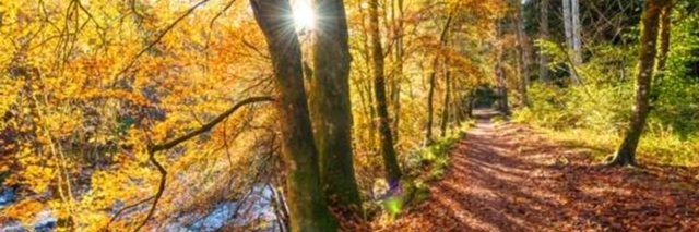 Forces of Nature banner