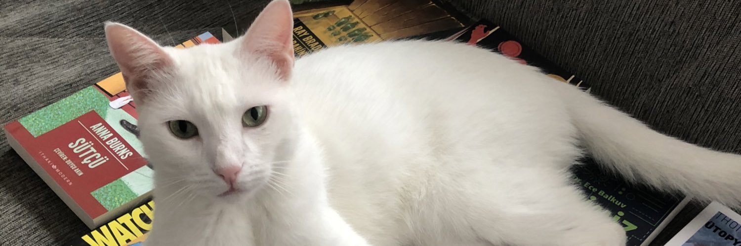 Sercan Meriç banner